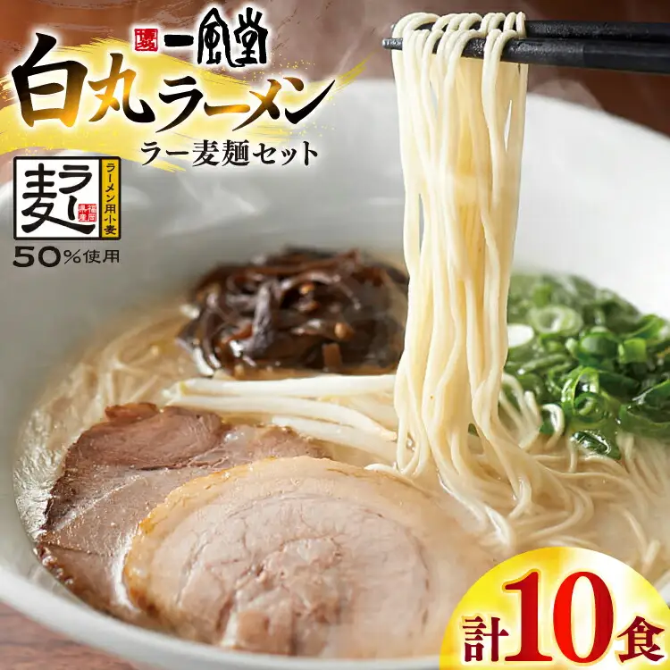 一風堂 博多 とんこつラーメン 白丸 10食 [um40bfw220015] 豚骨ラーメン