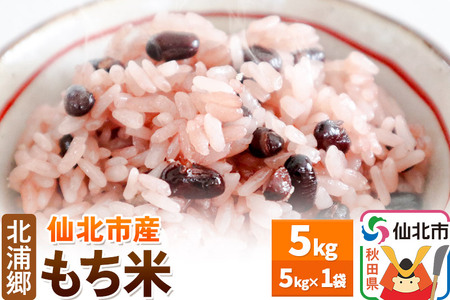 米 仙北市産 令和7年産 もち米 5kg1袋