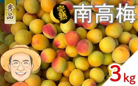 南高梅 約3kg (＋補償100g) 【秀品】完熟 2L以上 カキエモン農園【BX-kkem015】
