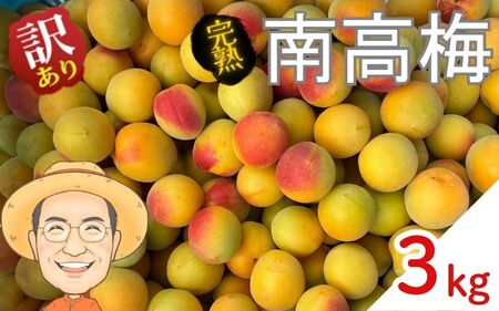  南高梅 約3kg (＋補償100g)【訳あり】完熟 サイズ不揃い カキエモン農園 【BX-kkem018】