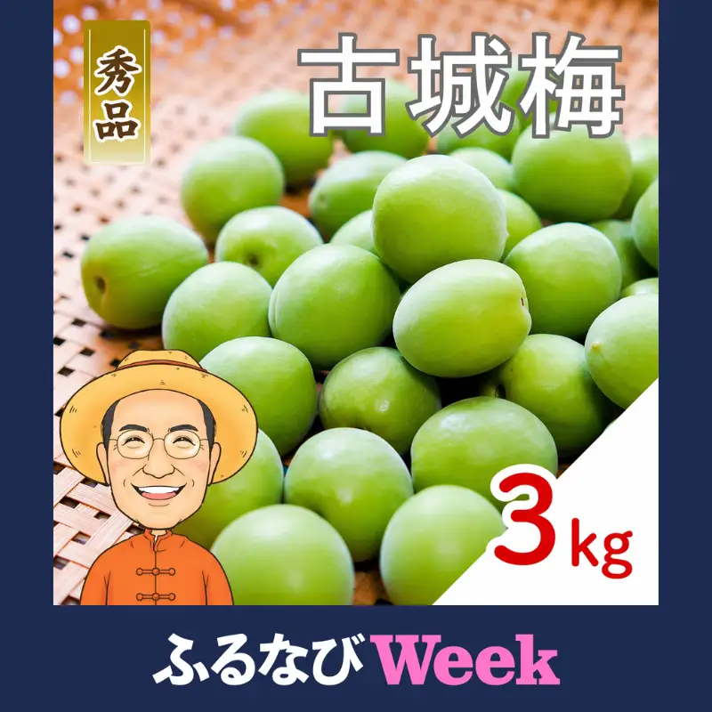 【ふるなびWEEK対象】古城梅 約3kg (＋補償100g)【秀品】 L～Mサイズ カキエモン農園 【BX-kkem021-week】