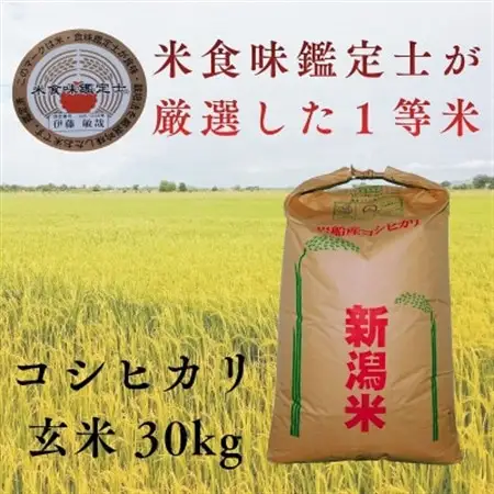 R7年産 新潟県岩船産 コシヒカリ玄米30kg　米食味鑑定士が厳選吟味した1等米 [青南総合農園]【1693748】