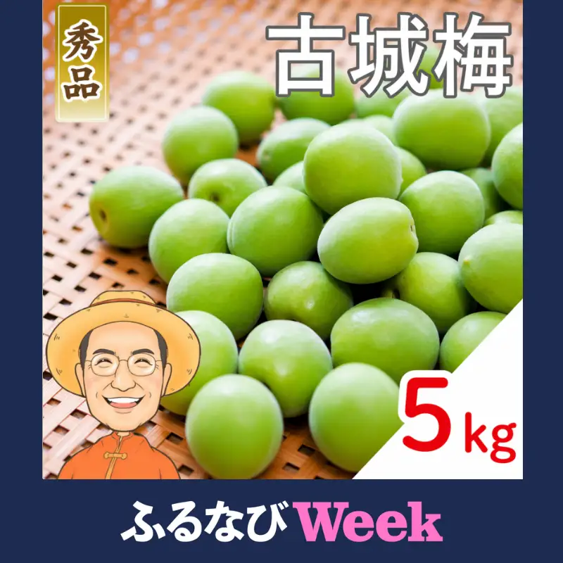 【ふるなびWEEK対象】古城梅 約5kg (＋補償100g)【秀品】 L～Mサイズ カキエモン農園【BX-kkem022-week】