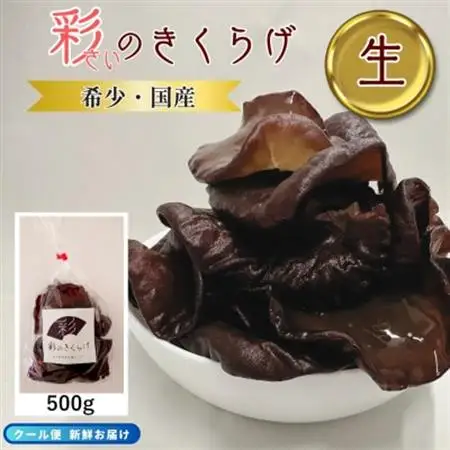 彩のきくらげ　生きくらげ500g　乾燥きくらげ50g　セット　埼玉県産【配送不可地域：離島】【1692953】