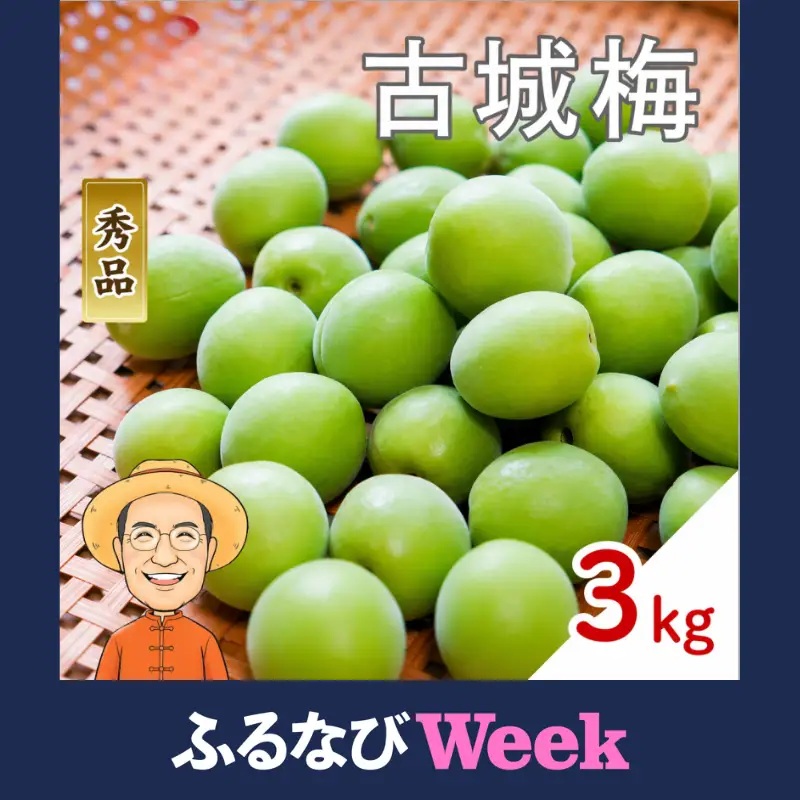 【ふるなびWEEK対象】古城梅 約3kg (＋補償100g)【訳あり】 サイズ不揃い カキエモン農園【BX-kkem024-week】