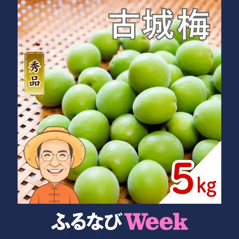 【ふるなびWEEK対象】古城梅 約5kg (＋補償100g)【訳あり】 サイズ不揃い カキエモン農園【BX-kkem025-week】