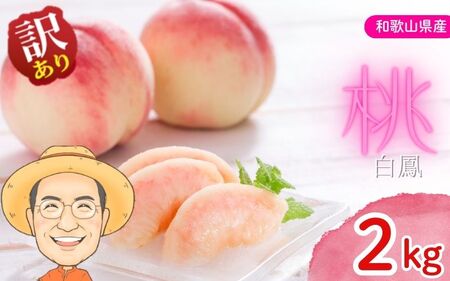 桃 白鳳 約2kg 箱 (8～9個)【訳あり】 サイズ不揃い カキエモン農園【BX-kkem029】
