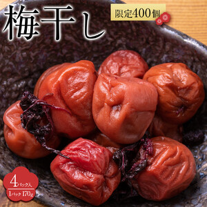 角田市 岸浪園 梅干し 170g×４パック 限定400個