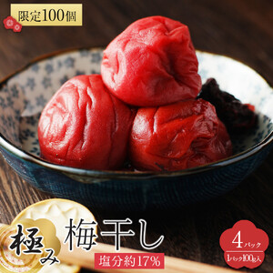 角田市 岸浪園 極み梅干し 塩分約17％ 100ｇ×4パック 限定100個