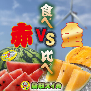 【先行予約】鳥取スイカの食べ比べ！2玉セット（赤肉すいか＆金色羅皇）【西瓜 西瓜 すいか すいか 果物 くだもの フルーツ】