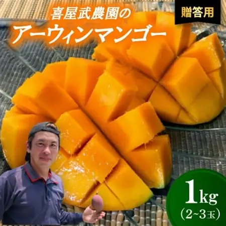 【先行受付・2026年6月から順次発送・贈答用】喜屋武農園のアーウィンマンゴー1kg(2～3玉)【配送不可地域：離島】【1694604】