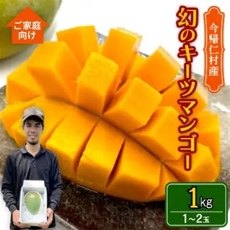 【先行受付・2026年8月から順次発送・家庭用】仲本マンゴー園の幻のキーツマンゴー1kg(1～2玉)【配送不可地域：離島】【1694611】