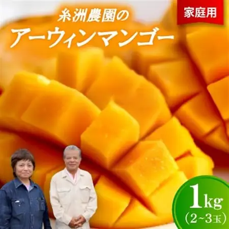 【先行受付・2026年7月から順次発送・家庭用】糸洲農園のアーウィンマンゴー1kg(2～3玉)【配送不可地域：離島】【1694623】
