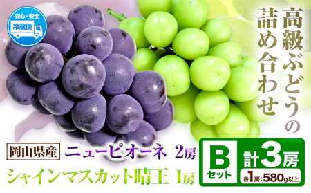 ニューピオーネ＆シャインマスカット 晴王 Bセット(計3房) 【配送不可地域あり】