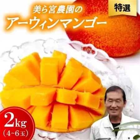 【2026年7月から順次発送・特選】美ら宮農園のアーウィンマンゴー2kg(4～6玉)【配送不可地域：離島】【1695314】