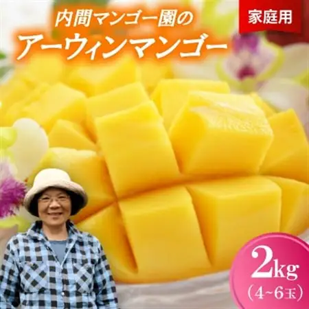 【2026年7月から順次発送・家庭用】内間マンゴー園のアーウィンマンゴー2kg(4～6玉)【配送不可地域：離島】【1695324】