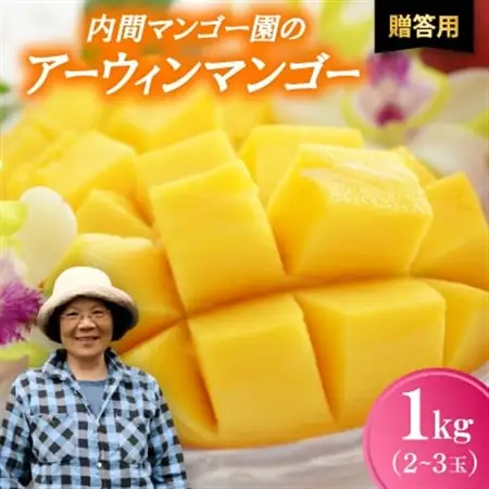 【2026年7月から順次発送・贈答用】内間マンゴー園のアーウィンマンゴー1kg(2～3玉)【配送不可地域：離島】【1695325】