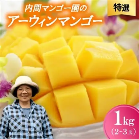【2026年7月から順次発送・特選】内間マンゴー園のアーウィンマンゴー1kg(2～3玉)【配送不可地域：離島】【1695327】