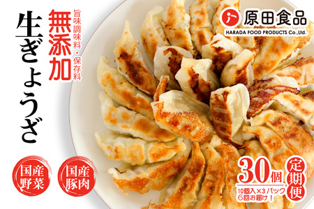 [定期便／年6回 偶数月] ハナちゃん生ぎょうざ 冷凍餃子 計180個 (30個セット×6回) [0269]