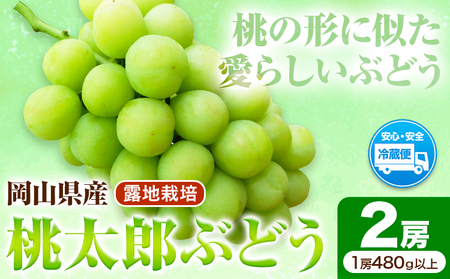 桃太郎ぶどう 2房(480g以上) 【配送不可地域あり】ぶどう