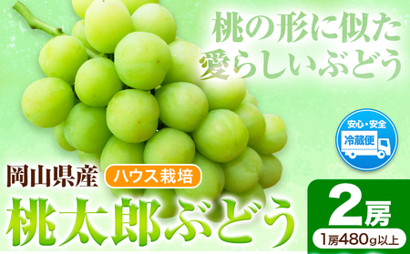 桃太郎ぶどう 2房(480g以上) ハウス栽培 【配送不可地域あり】ぶどう