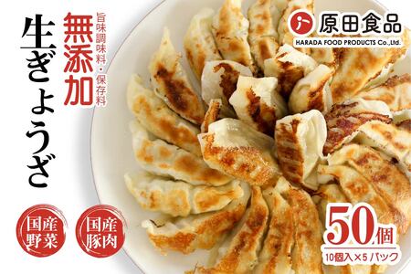 ハナちゃん生ぎょうざ 冷凍餃子 50個セット [0271]