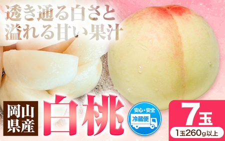白桃 7玉入り ロイヤル 【配送不可地域あり】桃