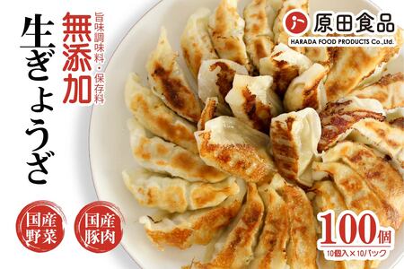 ハナちゃん生ぎょうざ 冷凍餃子 100個セット [0272]