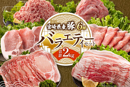 宮崎県産 豚バラエティーセット合計2kg ※入金翌月中に出荷【B690】