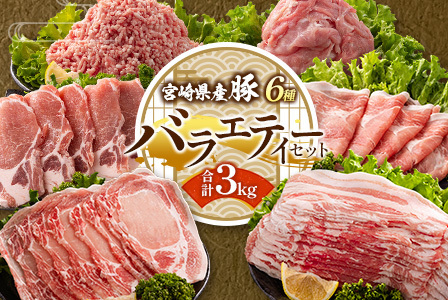 宮崎県産 豚バラエティーセット合計3kg※入金翌月中に出荷【B691】