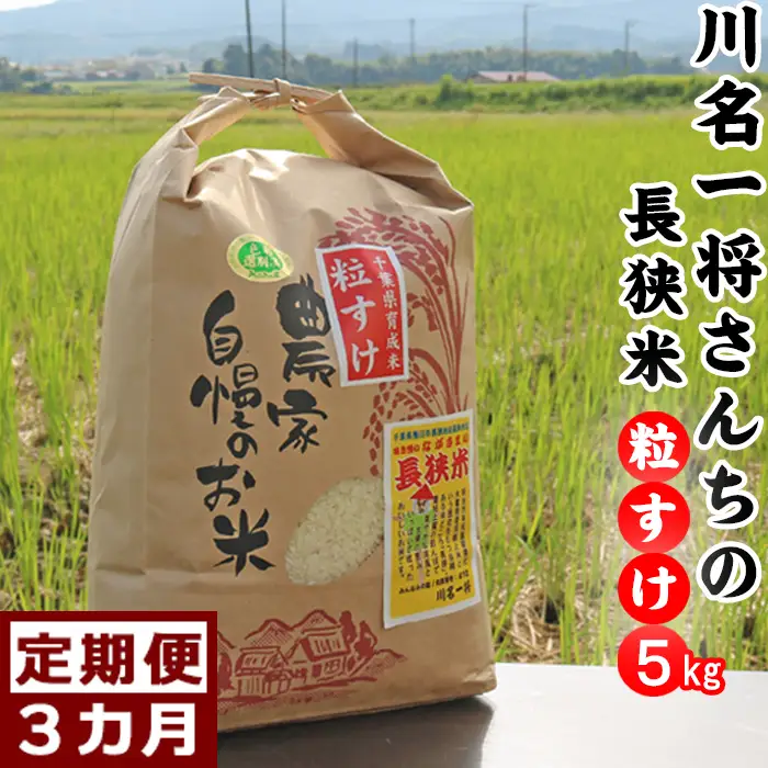 【定期便】川名一将さんちの長狭米　長狭米『粒すけ』5kg×3回 [0042-0005]