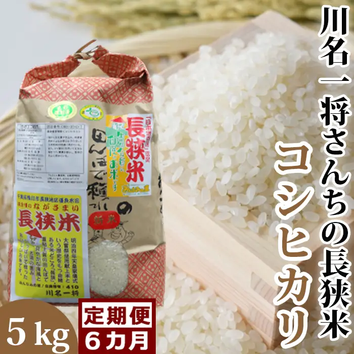 【定期便】川名一将さんちの長狭米 コシヒカリ5kg×6回 [0090-0009]