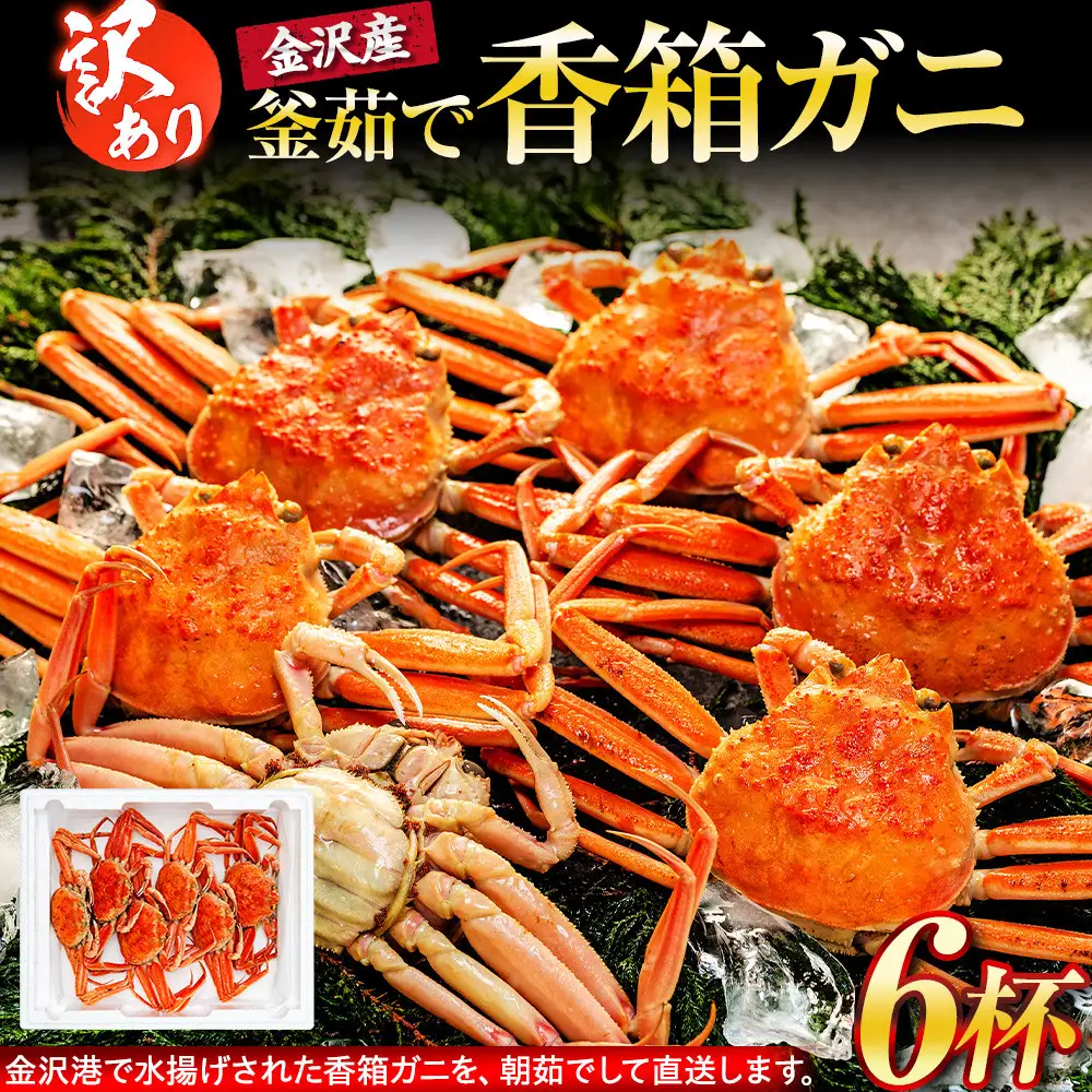 【訳あり】 金沢港より直送！ ボイル 香箱ガニ 6杯セット 釜茹で 冷蔵 先行予約 2026年発送