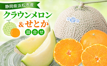 【2027年2月発送】クラウンメロン&せとか詰合せ クラウンメロン 1個 約1.3kg 白等級 せとか 4個 柑橘の最高峰 ジューシー メロン めろん 柑橘 かんきつ みかん ミカン 蜜柑 静岡 浜松市