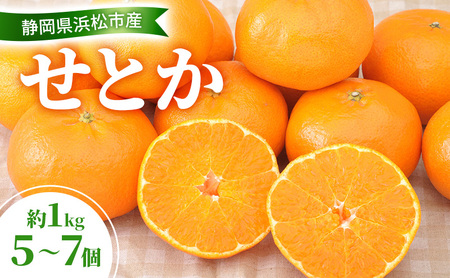 【2027年2月以降発送】せとか 約1Kg 5～7個 柑橘の最高峰 かんきつ 柑橘 みかん ミカン 蜜柑 人気 静岡 浜松市