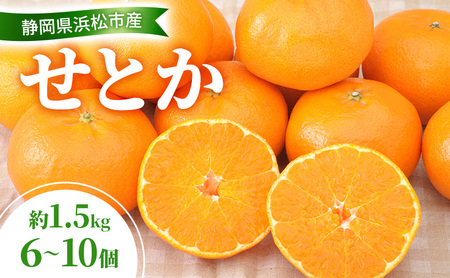 【2027年2月以降発送】 せとか 約1.5kg 6～10個 柑橘の最高峰 かんきつ 柑橘 みかん ミカン 蜜柑 人気 静岡 浜松市