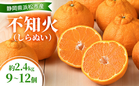 【2027年3月以降発送】 不知火 約2.4kg 9～12個 しらぬい デコ かんきつ 柑橘 みかん ミカン 蜜柑 フルーツ 静岡 浜松市
