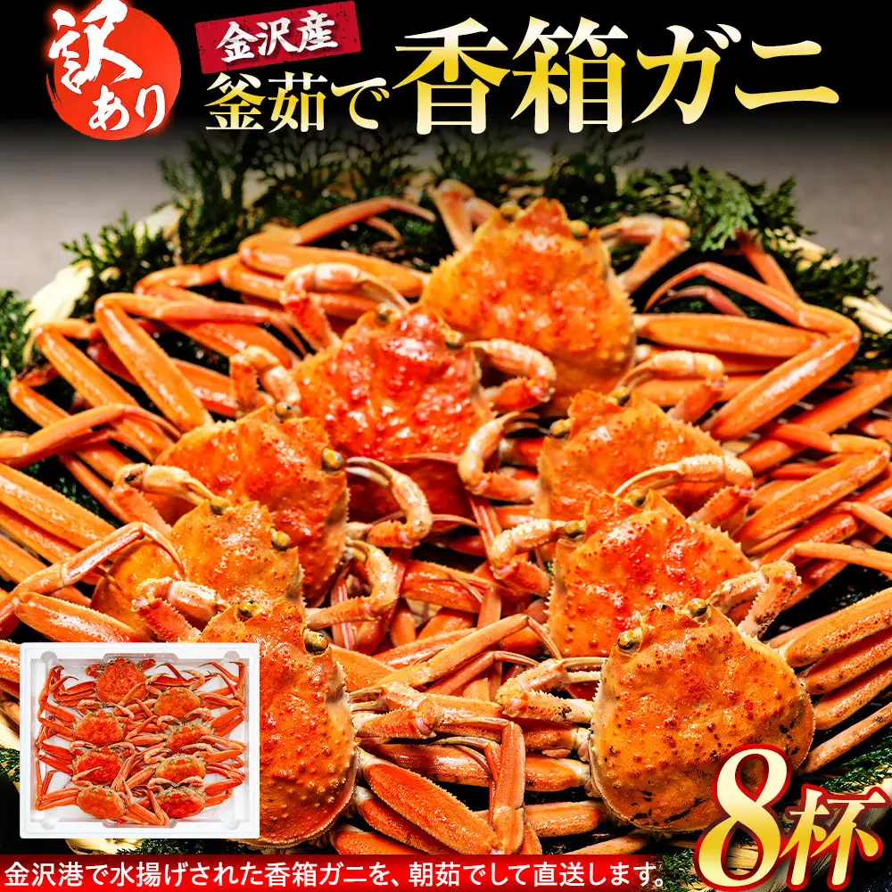 【訳あり】 金沢港より直送！ ボイル 香箱ガニ 8杯セット 釜茹で 冷蔵 先行予約 2026年発送
