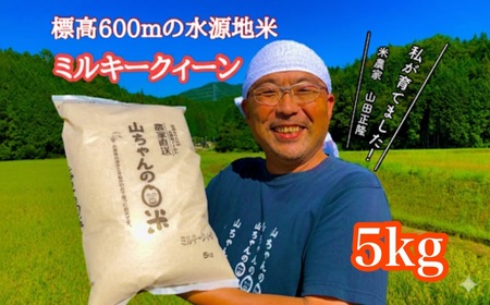 令和7年度産 農家直送「山ちゃんのお米」ミルキークイーン10kg
