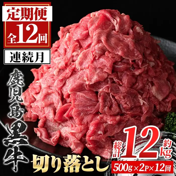 【F01001】＜定期便・全12回・連続月＞鹿児島黒牛 切り落とし(計約12kg・約500g×2P×12回) 鹿児島 国産 九州産 鹿児島県産 黒毛和牛 国産牛 牛肉 切り落し 切落とし 切落し お肉 冷凍 小分け すきやき すき焼き 牛すき 牛丼 カレー 肉じゃが 炒め物 【新村畜産】