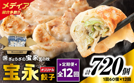 【 全12回 定期便 （ 毎月 ） 】 ぎょうざの宝永 宝永 餃子 15個入 セット （ 宝永餃子 15個入 × 4袋 ） 合計 1.5kg T004-T01-05 惣菜 総菜 加工食品