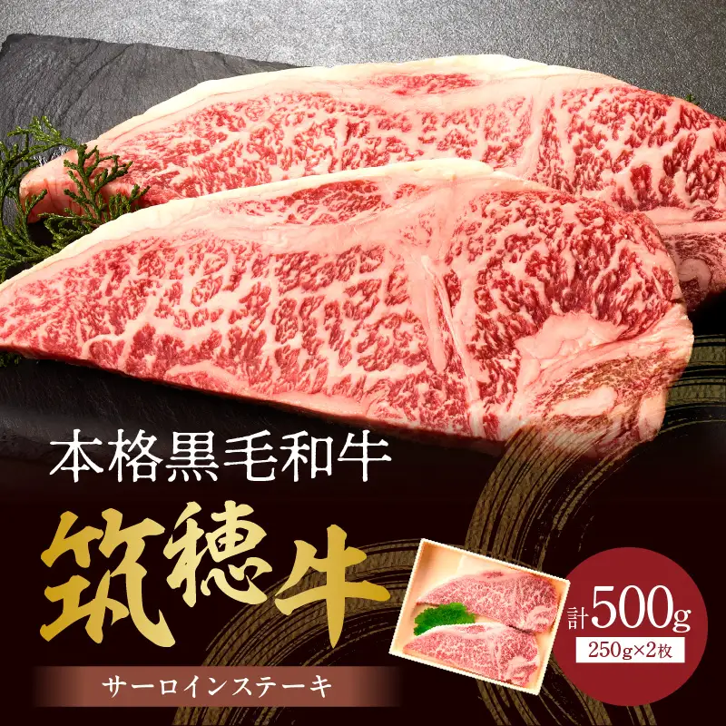 森本牧場産 本格黒毛和牛 筑穂牛 サーロインステーキ 250g×2枚【E-099】