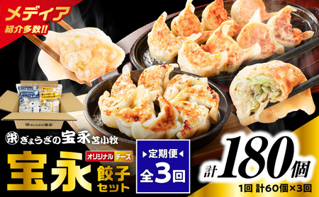 【 全3回 定期便 （ 毎月 ） 】 チーズ 餃子 セット （ 宝永餃子 15個入 × 2袋 ＆ チーズ餃子 15個入 × 2袋 ） 合計1.5kg T004-T02-02 惣菜 総菜 加工食品