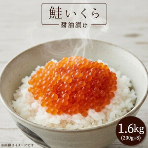 いくら醤油漬け 1.6kg(200g×8)