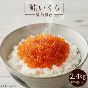 いくら醤油漬け 2.4kg(200g×12)