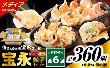 【 全6回 定期便 （ 毎月 ） 】 チーズ 餃子 セット （ 宝永餃子 15個入 × 2袋 ＆ チーズ餃子 15個入 × 2袋 ） 合計1.5kg T004-T02-04 惣菜 総菜 加工食品