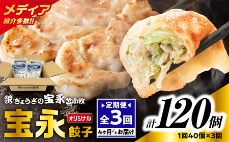 【 全3回 定期便 （ 4ヶ月毎 ） 】 宝永 餃子 10個入 セット （ 宝永餃子 10個入 × 4袋 ） 合計 1.0kg T004-T03-01 惣菜 総菜 加工食品