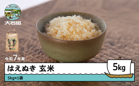 令和7年産 はえぬき  玄米 順次発送 5kg 5kg×1袋 山形県産 ap-hagxa5-0