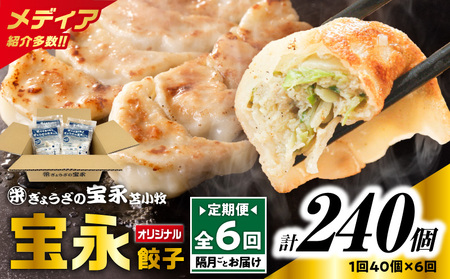 【 全6回 定期便 （ 隔月 ） 】 宝永 餃子 10個入 セット （ 宝永餃子 10個入 × 4袋 ） 合計 1.0kg T004-T03-03 惣菜 総菜 加工食品