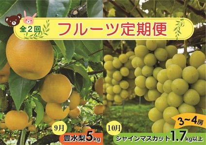 【定期便：全２回】アルコアーナ農園のフルーツ定期便Ｂコース（和梨、シャインマスカット）　0148-2605